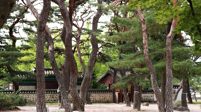 National Park tour India