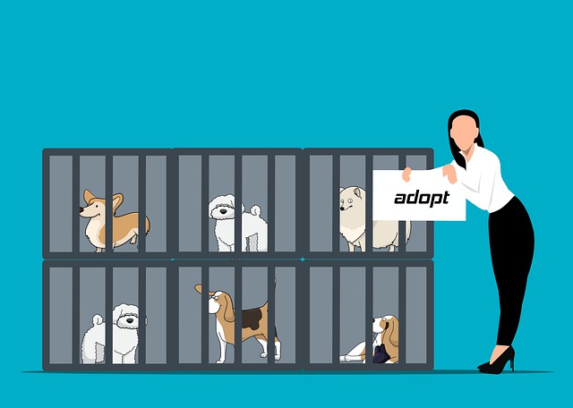 Which is the appropriate time to adopt puppies? Which is the appropriate time to adopt puppies?