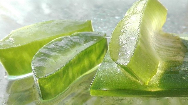 MANY SKIN BENEFITS OF USING ALOE CREAMS AND LOTIONS