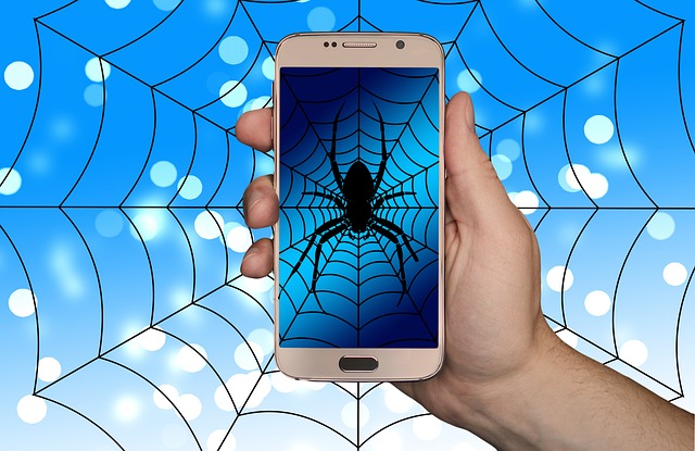 What is Google Spider