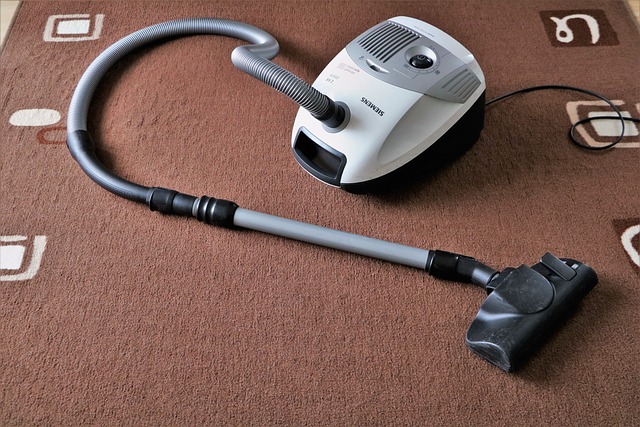 Carpet Cleaning Service | Professional Carpet Cleaning Service Carpet Cleaning Service | Professional Carpet Cleaning Service