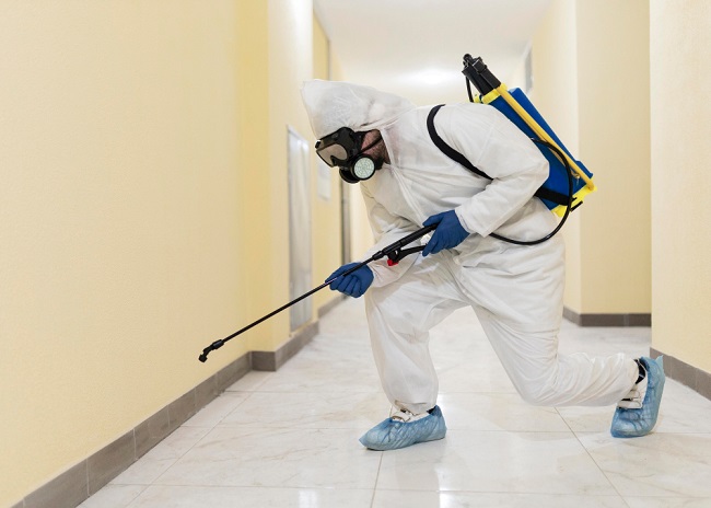 Pest Control Services | Professional Pest Control Services
