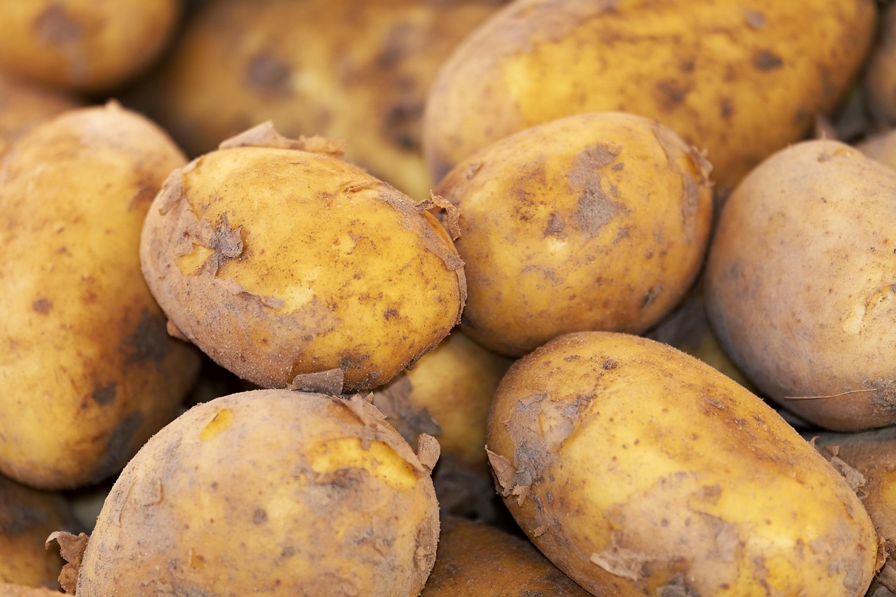 Celebrate International Potato Day 2025: Discover the Power of the Humble Spud Celebrate International Potato Day 2025: Discover the Power of the Humble Spud
